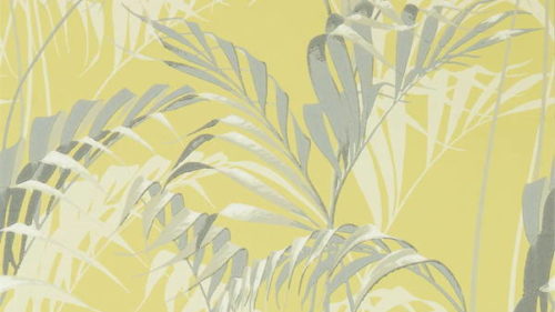 Palm House 216642